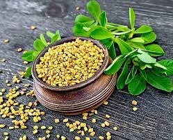 Does Fenugreek Aid Weight loss?